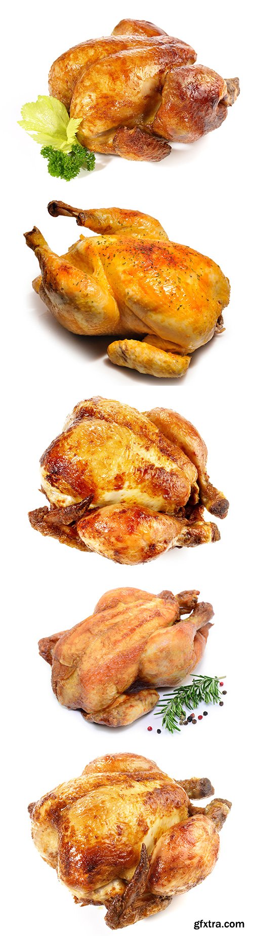 Whole Grilled Chicken Isolated - 10xJPGs