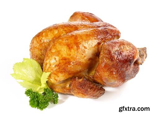 Whole Grilled Chicken Isolated - 10xJPGs