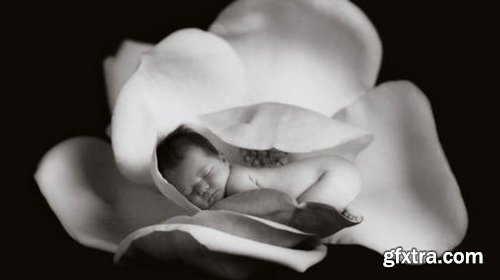 CreativeLive - A Mothers Day Card Shoot