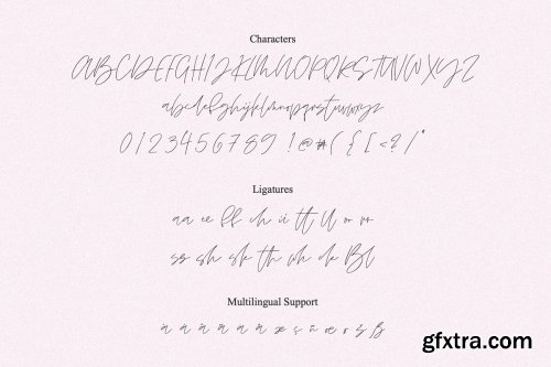 CreativeMarket - BLONDIE SCRIPT 3756053