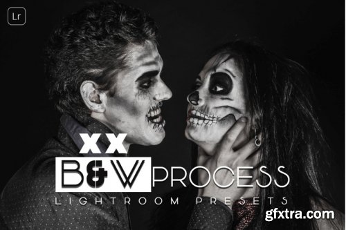 B and W Process Lightroom Presets