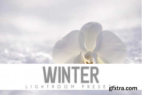 Winter Lightroom Presets