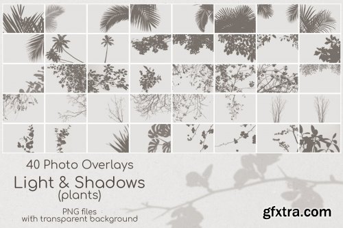 CreativeMarket - 40 Plant Shadows Overlays 3765716