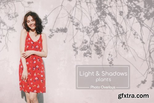 CreativeMarket - 40 Plant Shadows Overlays 3765716