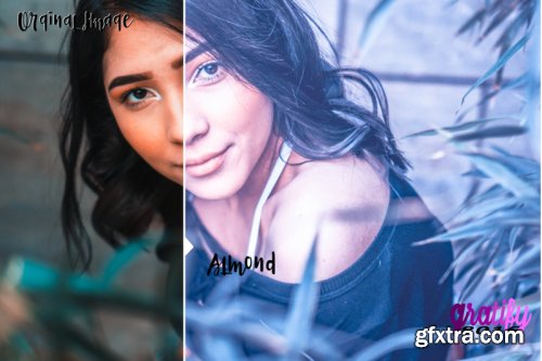 Gratify Lightroom 51 and ACR 51 Presets