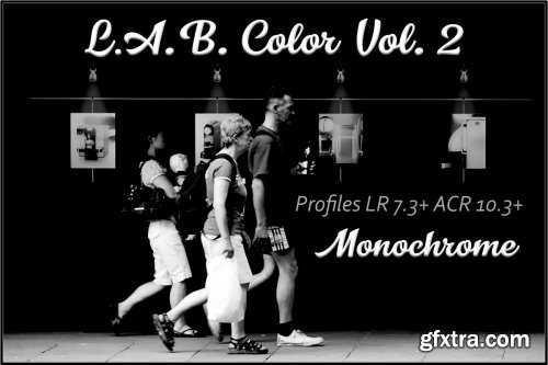 CreativeMarket - LAB Color V. 2 - Monochrome profiles 3749995