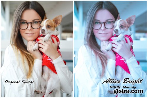 Allies Bright Instagram Blogger Lightroom Presets