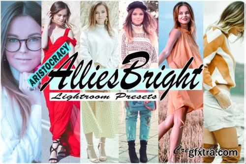 Allies Bright Instagram Blogger Lightroom Presets