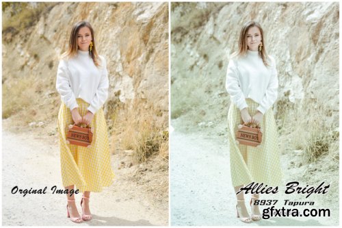 Allies Bright Instagram Blogger Lightroom Presets