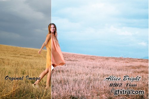 Allies Bright Instagram Blogger Lightroom Presets