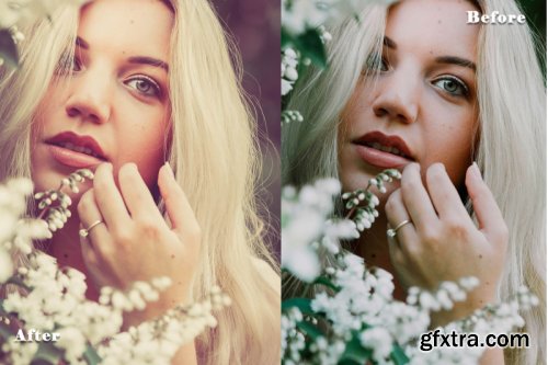 Blogger Lr and ACR Presets