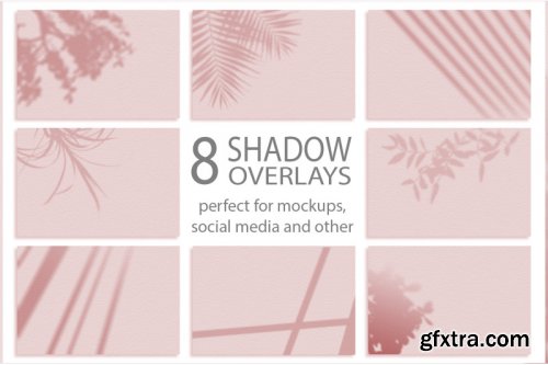 Set of 8 Shadows mockup. Summer background of shadows branch 