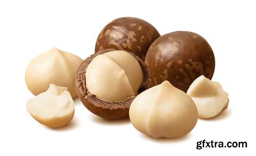 Macadamia Nuts Isolated - 9xJPGs