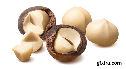 Macadamia Nuts Isolated - 9xJPGs