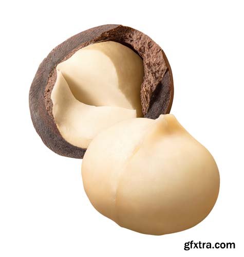 Macadamia Nuts Isolated - 9xJPGs