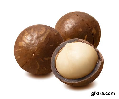 Macadamia Nuts Isolated - 9xJPGs