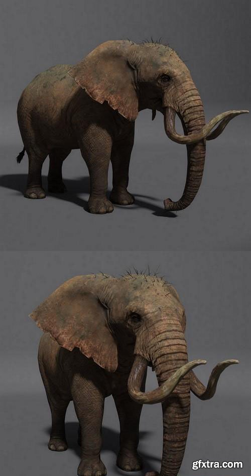 ELEPHANT 2 - 3D MODEL