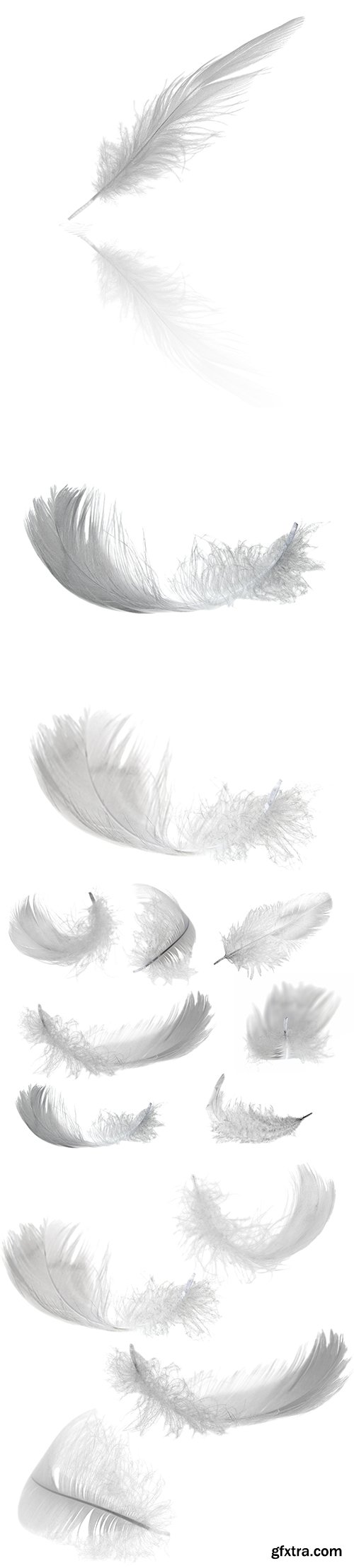 White Feather Isolated - 10xJPGs