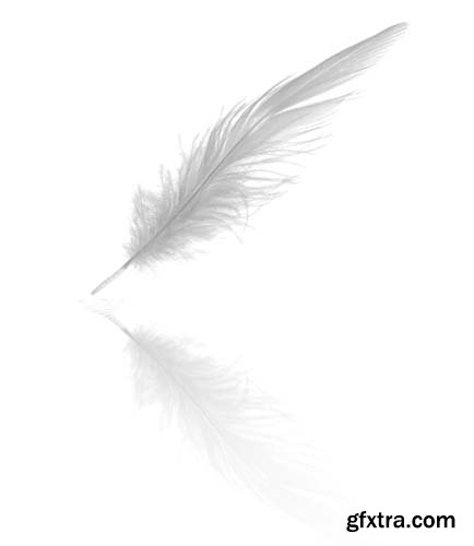 White Feather Isolated - 10xJPGs