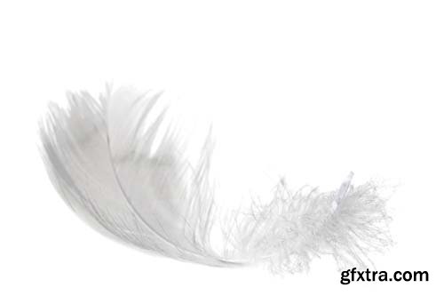 White Feather Isolated - 10xJPGs