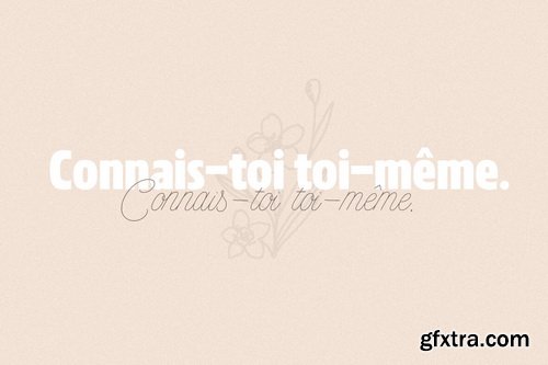 MADE Florence Font Family