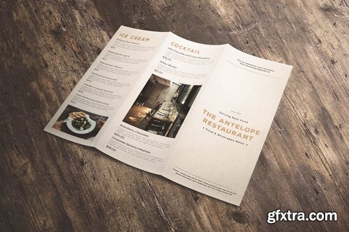 Classic Trifold Brochure