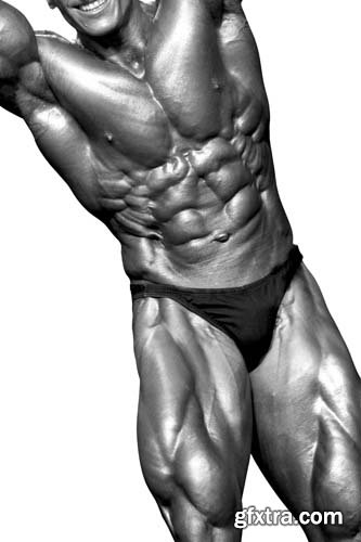 Bodybuilder Isolated - 7xJPGs