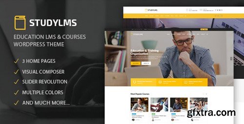 ThemeForest - Studylms v1.6 - Education LMS & Courses WordPress Theme - 20192990