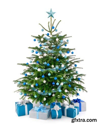 Christmas Tree With Gift Box Isolated - 10xJPGs