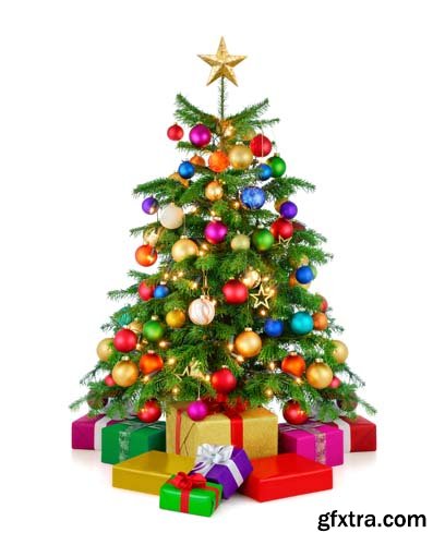 Christmas Tree With Gift Box Isolated - 10xJPGs