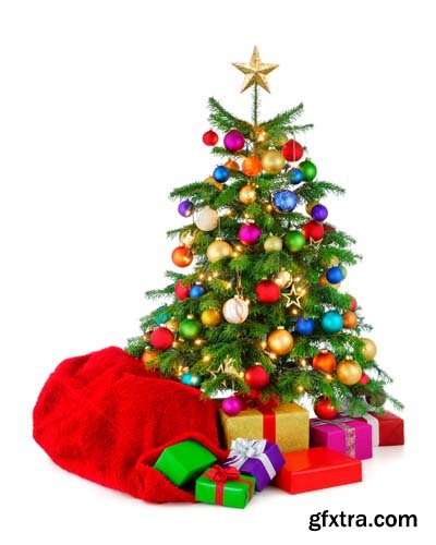 Christmas Tree With Gift Box Isolated - 10xJPGs