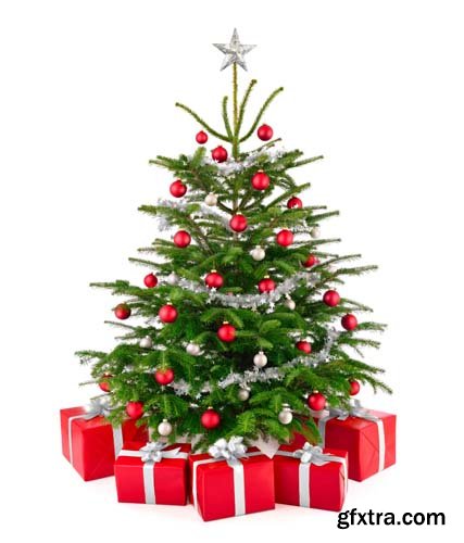 Christmas Tree With Gift Box Isolated - 10xJPGs