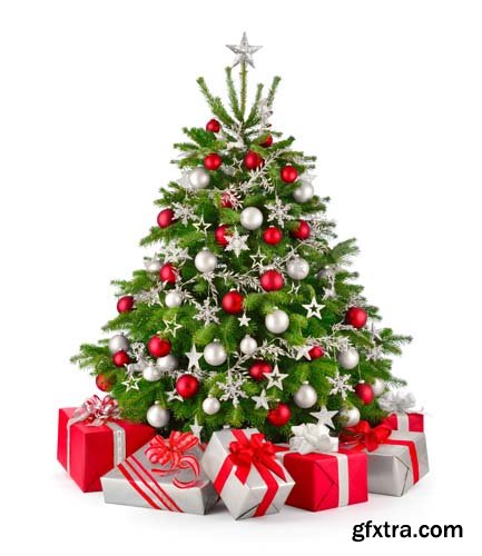 Christmas Tree With Gift Box Isolated - 10xJPGs