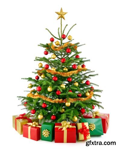 Christmas Tree With Gift Box Isolated - 10xJPGs