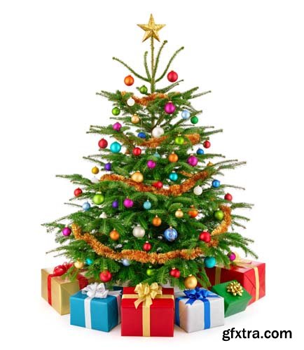 Christmas Tree With Gift Box Isolated - 10xJPGs