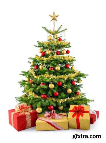 Christmas Tree With Gift Box Isolated - 10xJPGs