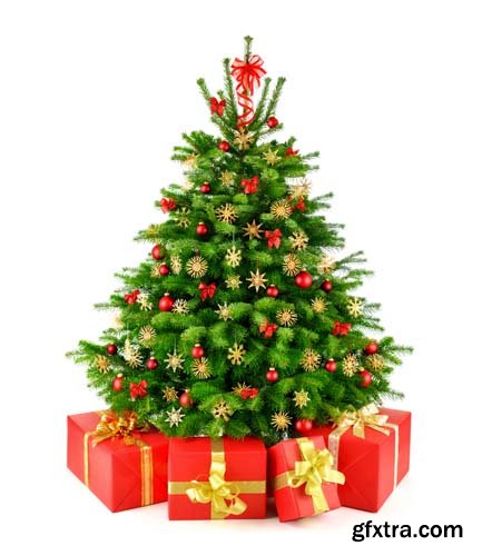 Christmas Tree With Gift Box Isolated - 10xJPGs