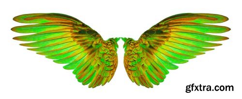 Colorful Wings Isolated - 10xJPGs