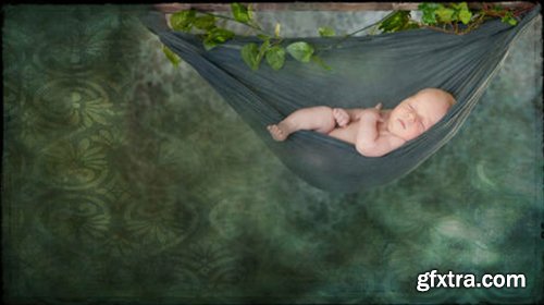 CreativeLive - Bellies & Babies