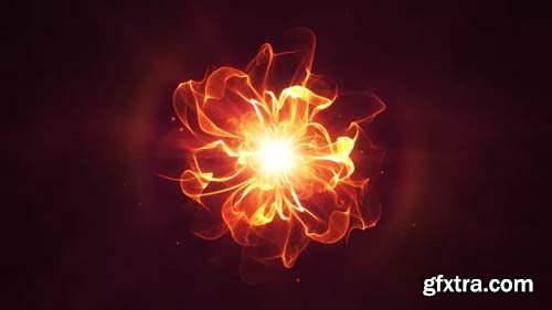 Videohive - Golden Flower Logo Reveal - 13578707