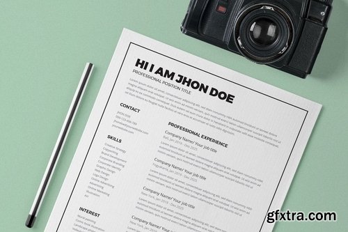 Resume CV Template Pro