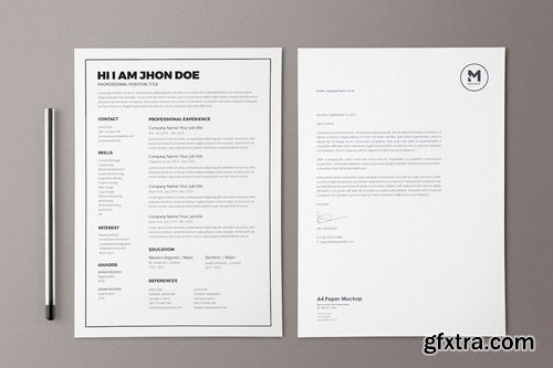 Resume CV Template Pro