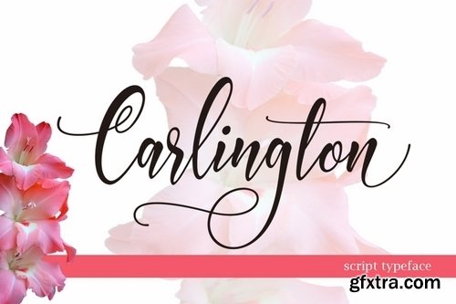 CM - CARLINGTON 1322308