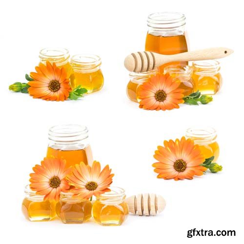 Honey And Calendula Flowers Isolated - 15xJPGs