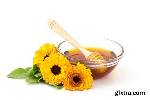 Honey And Calendula Flowers Isolated - 15xJPGs