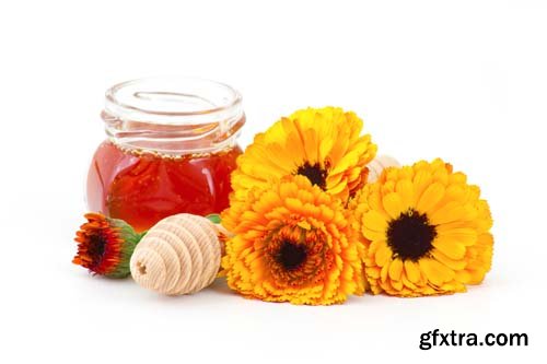 Honey And Calendula Flowers Isolated - 15xJPGs