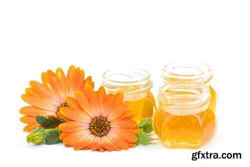 Honey And Calendula Flowers Isolated - 15xJPGs