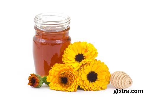 Honey And Calendula Flowers Isolated - 15xJPGs