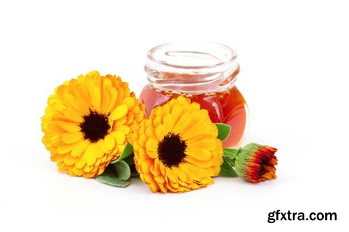 Honey And Calendula Flowers Isolated - 15xJPGs