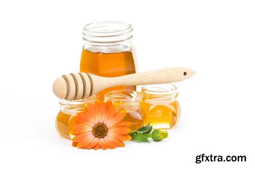 Honey And Calendula Flowers Isolated - 15xJPGs